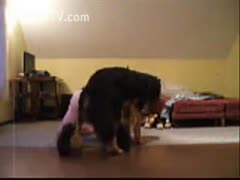 A solitary guy with her dark dog
